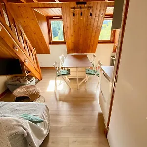 Appartement Chalet à 1400m - Station Du Mourtis, Boutx
